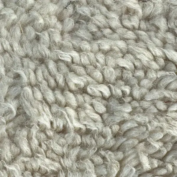 A color swatch labeled Warm Light Gray, a pale green-gray shade from the Atlas product family.