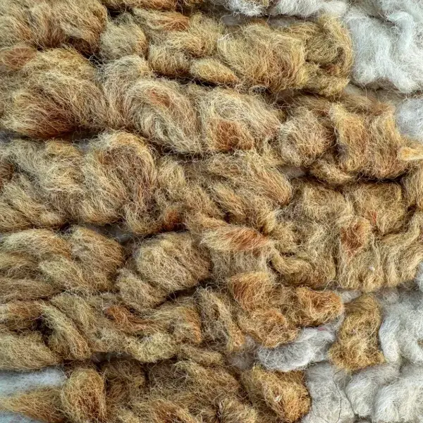 A color swatch labeled Warm Light Beige from the orange family, used in the Atlas Rug in Light Gray Green Beige