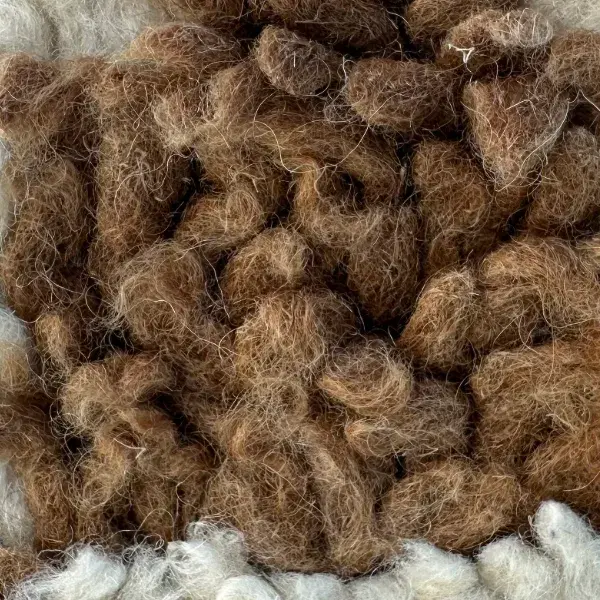 A color swatch labeled "Warm Medium Brown" from the orange family, part of the Atlas product line.