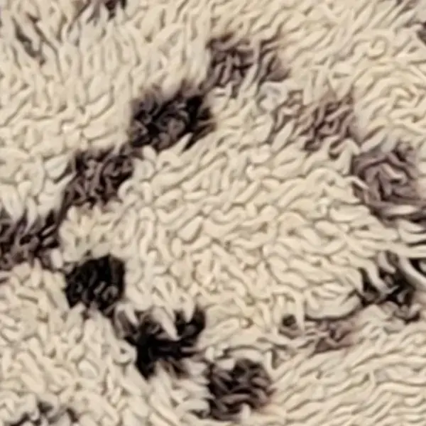 Light warm gray neutral color swatch on a rug.