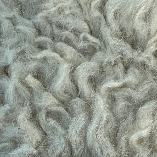 A color swatch labeled Light Gray Green from the green family in the Atlas product line.