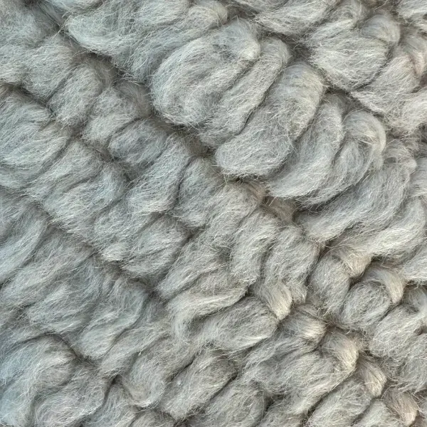 A color swatch labeled Light Gray from the gray family in the Atlas product line.