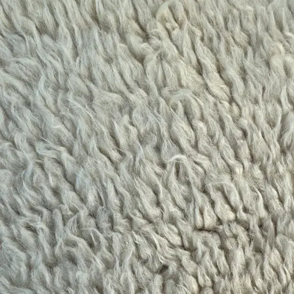 A color swatch labeled Warm Light Gray from the Atlas product line in the gray family.
