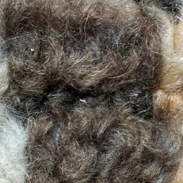 Dark warm gray diamond symbol on an orange background