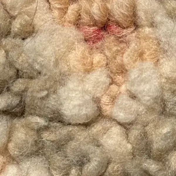 A color swatch labeled ATLAS in Warm Light Beige, a soft pale orange hue.